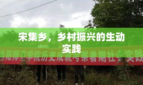 宋集鄉(xiāng)，鄉(xiāng)村振興的生動實踐
