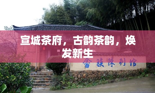 宣城茶府，古韻茶韻，煥發(fā)新生