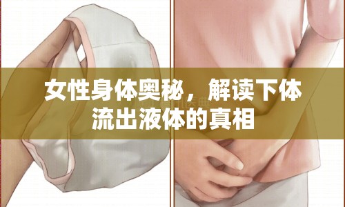 女性身體奧秘，解讀下體流出液體的真相
