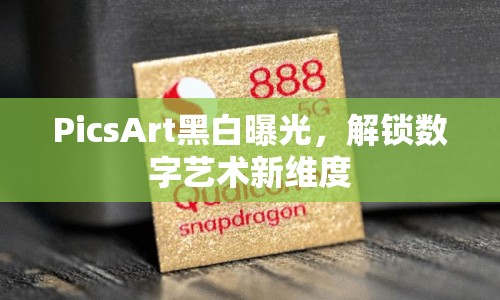 PicsArt黑白曝光，解鎖數(shù)字藝術新維度
