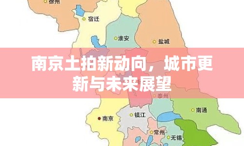 南京土拍新動向，城市更新與未來展望