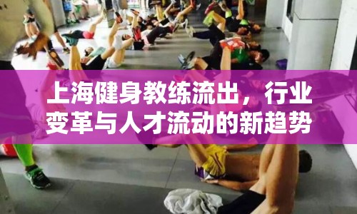 上海健身教練流出，行業(yè)變革與人才流動的新趨勢
