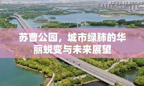 蘇曹公園，城市綠肺的華麗蛻變與未來展望