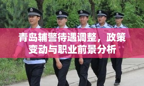 青島輔警待遇調(diào)整，政策變動與職業(yè)前景分析