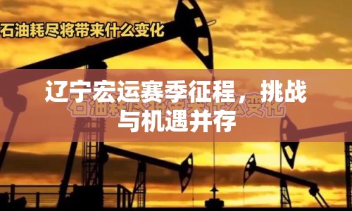 遼寧宏運(yùn)賽季征程，挑戰(zhàn)與機(jī)遇并存