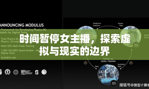 時間暫停女主播，探索虛擬與現(xiàn)實的邊界