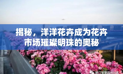 揭秘，洋洋花卉成為花卉市場璀璨明珠的奧秘