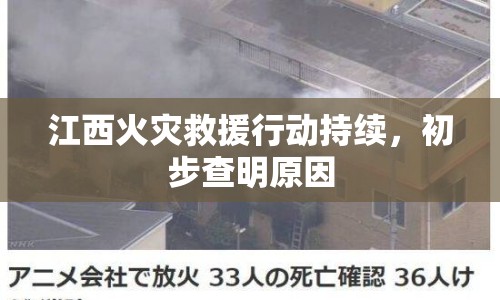 江西火災(zāi)救援行動(dòng)持續(xù)，初步查明原因