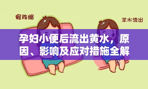 孕婦小便后流出黃水，原因、影響及應對措施全解析