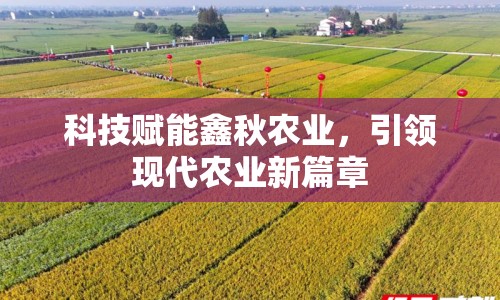 科技賦能鑫秋農業(yè)，引領現代農業(yè)新篇章