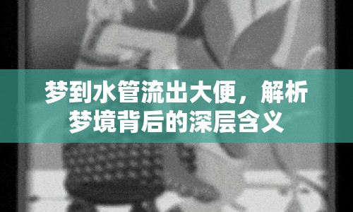 夢到水管流出大便，解析夢境背后的深層含義