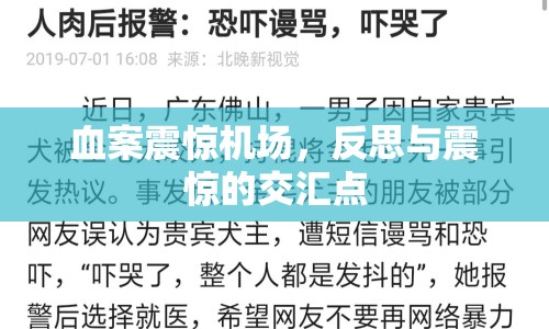 血案震驚機(jī)場(chǎng)，反思與震驚的交匯點(diǎn)