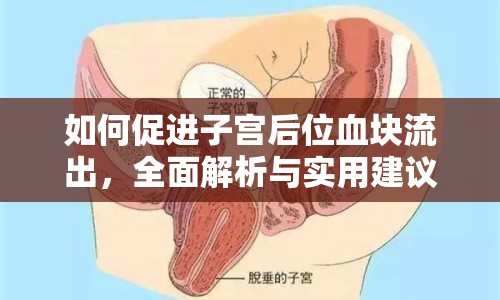 如何促進(jìn)子宮后位血塊流出，全面解析與實(shí)用建議