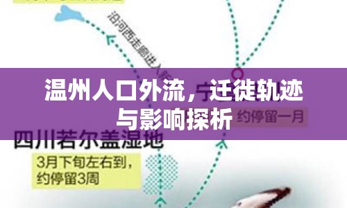 溫州人口外流，遷徙軌跡與影響探析