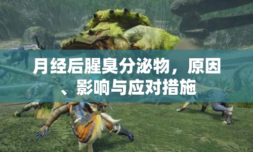 月經(jīng)后腥臭分泌物，原因、影響與應(yīng)對措施
