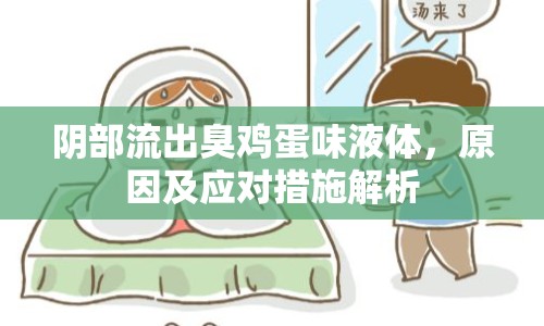 陰部流出臭雞蛋味液體，原因及應(yīng)對(duì)措施解析