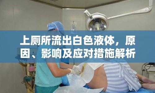 上廁所流出白色液體，原因、影響及應(yīng)對措施解析