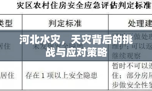 河北水災(zāi)，天災(zāi)背后的挑戰(zhàn)與應(yīng)對策略