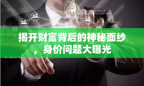 揭開財富背后的神秘面紗，身價問題大曝光