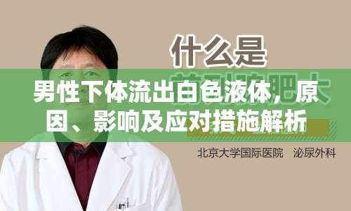 男性下體流出白色液體，原因、影響及應(yīng)對(duì)措施解析