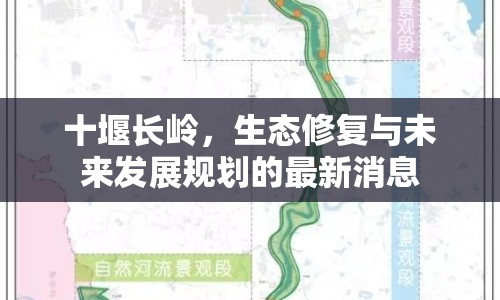 十堰長嶺，生態(tài)修復(fù)與未來發(fā)展規(guī)劃的最新消息