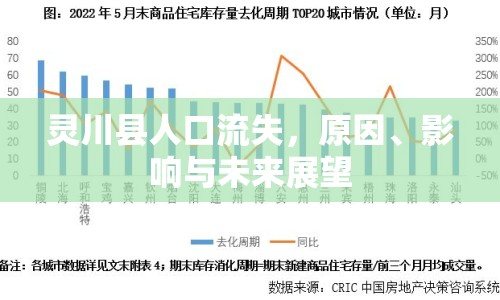 靈川縣人口流失，原因、影響與未來展望