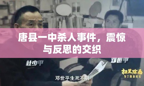 唐縣一中殺人事件，震驚與反思的交織