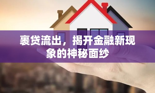 裹貸流出，揭開金融新現(xiàn)象的神秘面紗
