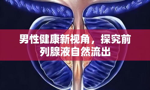 男性健康新視角，探究前列腺液自然流出
