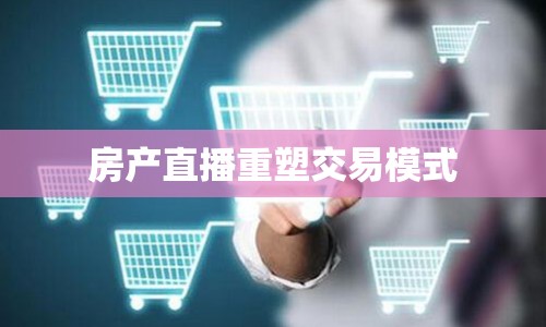 房產(chǎn)直播重塑交易模式