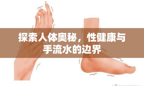 探索人體奧秘，性健康與手流水的邊界