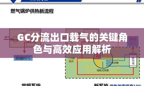 GC分流出口載氣的關(guān)鍵角色與高效應(yīng)用解析