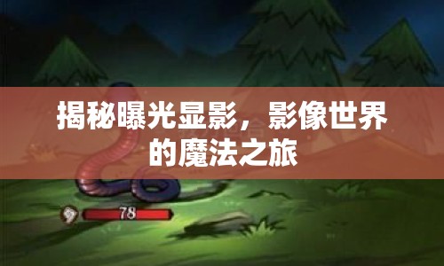 揭秘曝光顯影，影像世界的魔法之旅