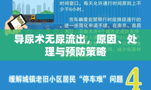 導(dǎo)尿術(shù)無尿流出，原因、處理與預(yù)防策略