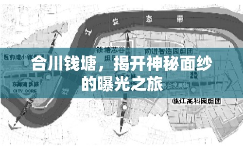 合川錢塘，揭開神秘面紗的曝光之旅