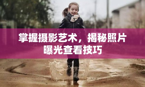 掌握攝影藝術(shù)，揭秘照片曝光查看技巧