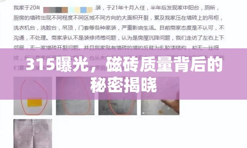 315曝光，磁磚質(zhì)量背后的秘密揭曉