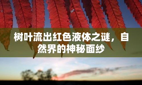 樹葉流出紅色液體之謎，自然界的神秘面紗