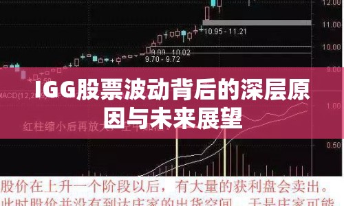 IGG股票波動(dòng)背后的深層原因與未來(lái)展望