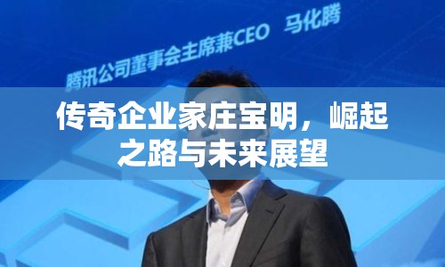 傳奇企業(yè)家莊寶明，崛起之路與未來(lái)展望