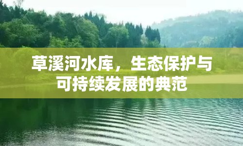 草溪河水庫，生態(tài)保護(hù)與可持續(xù)發(fā)展的典范
