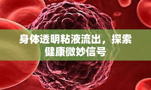 身體透明粘液流出，探索健康微妙信號