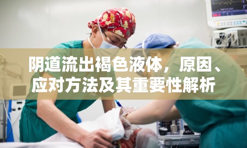 陰道流出褐色液體，原因、應(yīng)對(duì)方法及其重要性解析