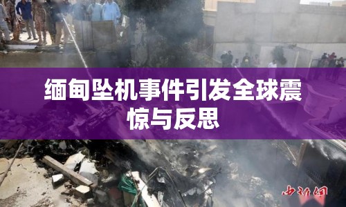 緬甸墜機事件引發(fā)全球震驚與反思