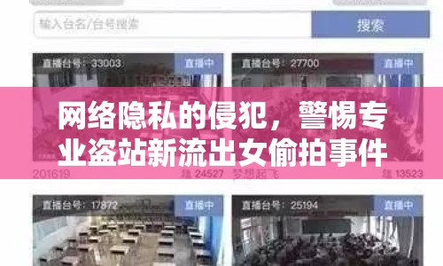 網(wǎng)絡(luò)隱私的侵犯，警惕專業(yè)盜站新流出女偷拍事件