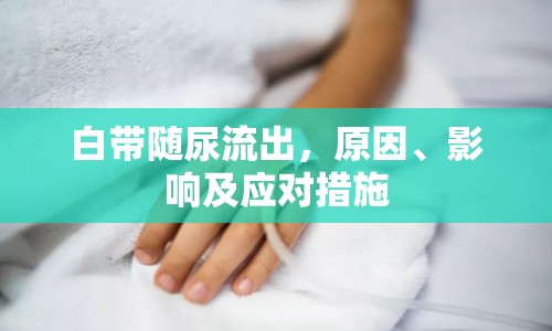 白帶隨尿流出，原因、影響及應(yīng)對措施