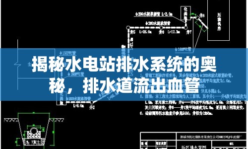 揭秘水電站排水系統(tǒng)的奧秘，排水道流出血管