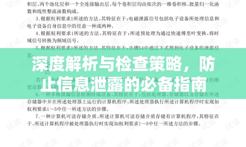 深度解析與檢查策略，防止信息泄露的必備指南