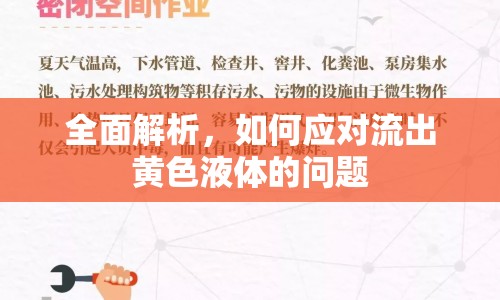 全面解析，如何應(yīng)對(duì)流出黃色液體的問(wèn)題