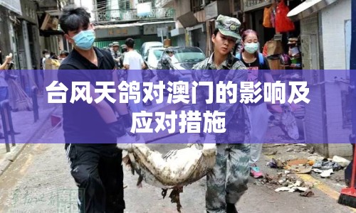臺(tái)風(fēng)天鴿對(duì)澳門的影響及應(yīng)對(duì)措施